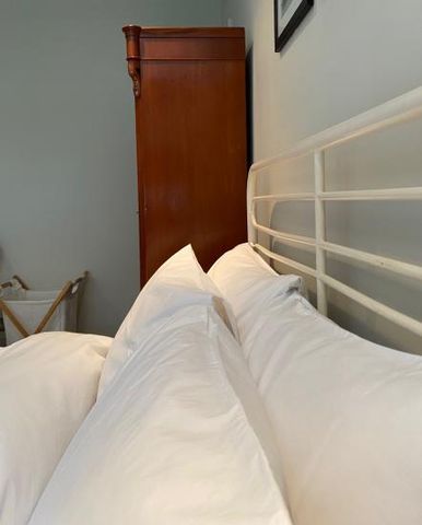 Spacious, quiet room in North London (N4) with excellent transport links - Photo 2