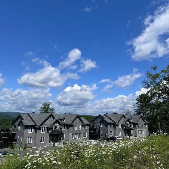 Appartement à louer - Piedmont - Photo 1