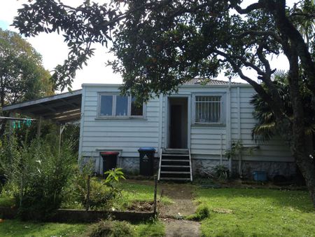 Spacious Mt Eden Home - Photo 2