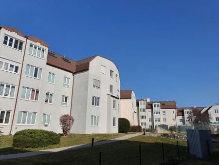 3-Zimmer-Wohnung, Top 1 - Foto 4
