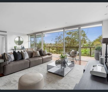 Peaceful Family Oasis just moments from Sydney CBD - Photo 1