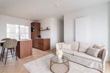 Gerenoveerde penthouse met terras in hartje Antwerpen - Photo 4