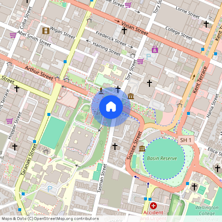 13 Buckle Street, Mount Cook, Wellington City