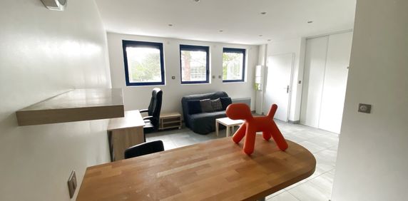 Studio meublé 30 m2 secteur Rabanesse/Coubertin/Lecoq - Photo 2