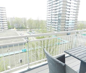 Groenhof, 52, Amstelveen - Photo 4