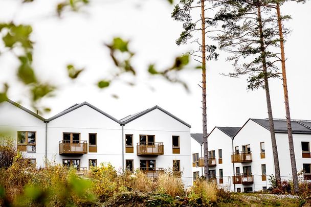 Taggsvampsvägen 10 - Foto 1