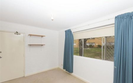 Cosy 1 Bedroom Apartment in O'Connor - Photo 2