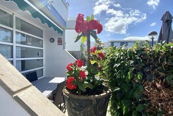 San Bartolomé de Tirajana, Canary Islands 35100