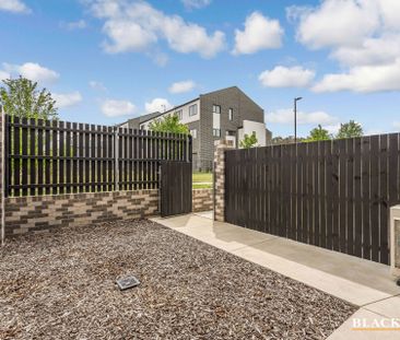 57/117 Sutherland Crescent, Taylor ACT 2913 - Townhouse For Rent | ... - Photo 3