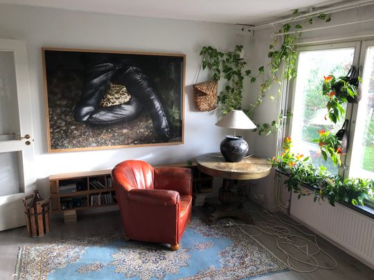 Ålgrytevägen, Skärholmen - Foto 1