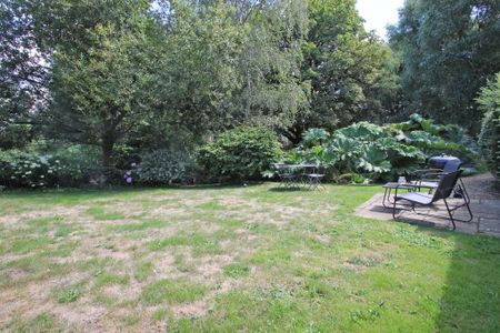 2 bedroom bungalow to rent - Photo 5