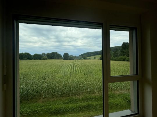 Mietkauf - Großzügige 2-Zimmer-Wohnung mit überdachter Terrasse - Photo 1