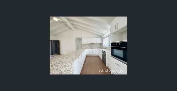 Newly Renovated, North-Facing Elevated Family Home - Photo 1