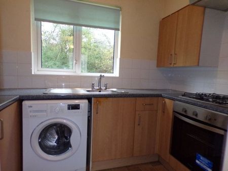 Euston Grove, Ringwood - Photo 5