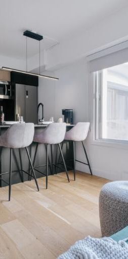 Loft entièrement meublé à louer Saint-Jean-Baptiste février 2026 - Photo 1