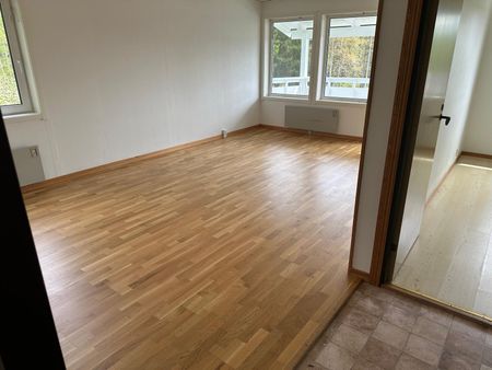 Tvåöringsgränd, Uddevalla - Photo 4
