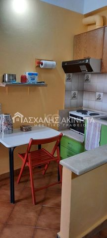 ΕΣΤΑΥΡΩΜΕΝΟΣ 1ΧΩΡΗ ΓΚΑΡΣΟΝΙΕΡΑ ΕΝΟΙΚΙΑΣΕΙΣ 13380 - Photo 3