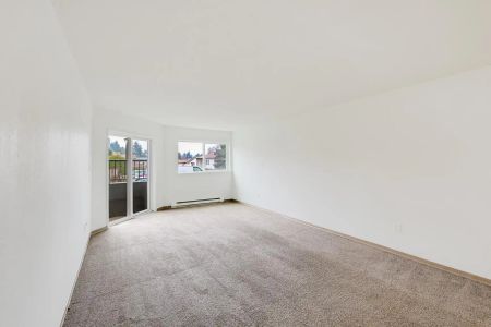 Pacific Village II Apartments — One Bedroom - Photo 3