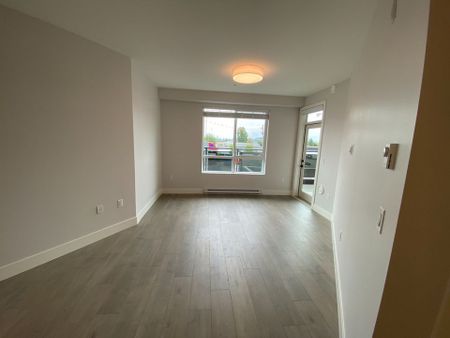 Beautiful New Condo in Langley 2Bed/2Bath - Photo 4