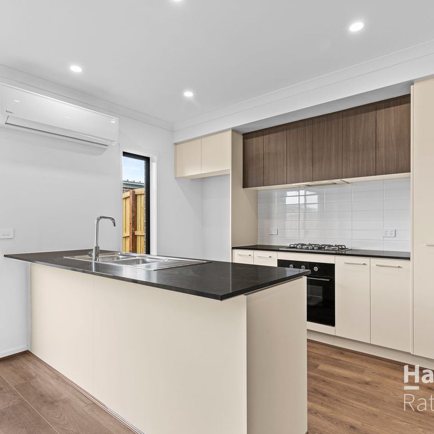 Brand New Delight! - Photo 1