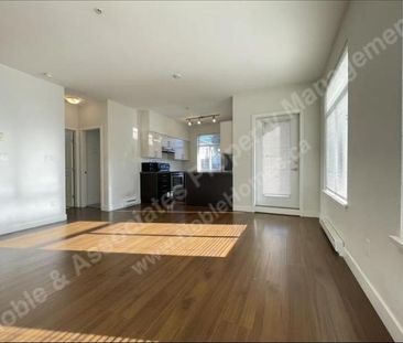 5XXX Kings Road 301 Vancouver_UBC - Photo 1