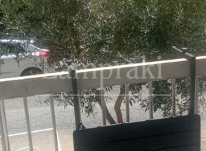 Διαμέρισμα για ενοικίαση - Τριανδρία - Δόξα - Κρυονέρι, - Photo 5