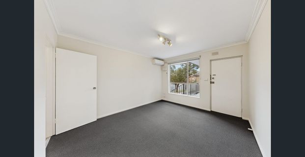 Freshly Updated Two Bedroom Unit in Prime Sunshine Location - Photo 1