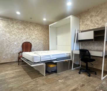 Location Appartement 1 pièce 26m² DARDILLY 69570 - Photo 3