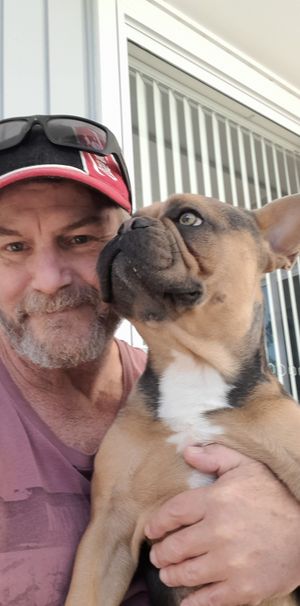 Lake Cathie - Photo 2