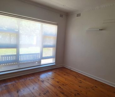 Light filled, triple fronted, family home in East Marden School Zone. - Photo 4