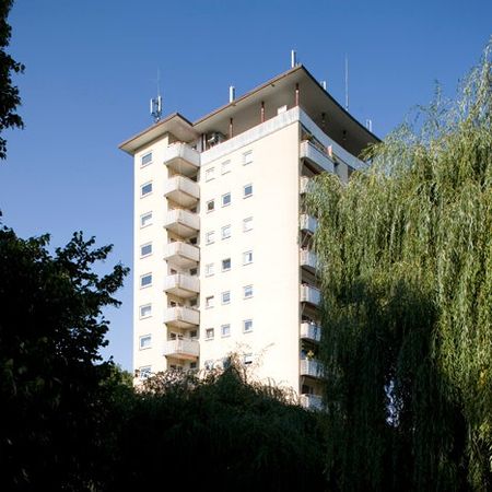 Johannesallee 41, 65929 Frankfurt am Main OT Unterliederbach - Photo 3