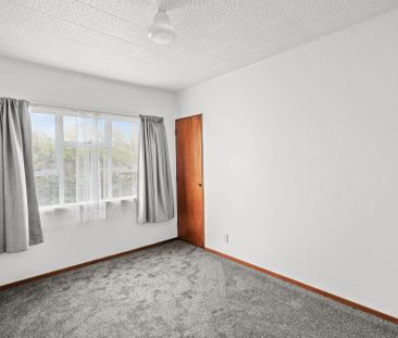 Newly Renovated Unit - Photo 4