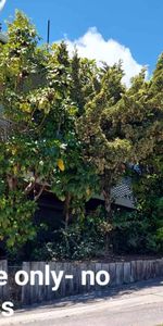 Genuine Long Term Rental - Marvelous Richmond Heights Location - Photo 3