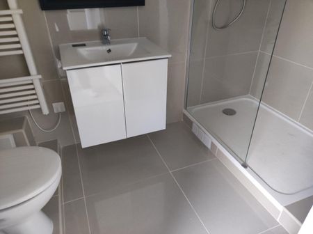 Location Appartement 1 pièce 20m² - Photo 4