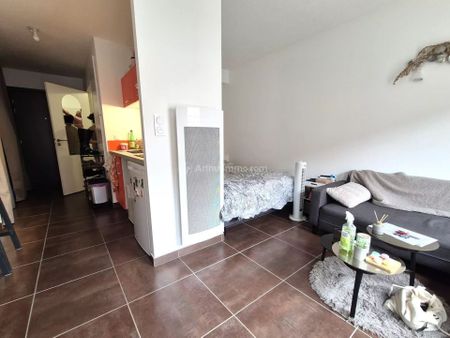 Location Appartement 1 pièces 27 m2 à Albi - Photo 4