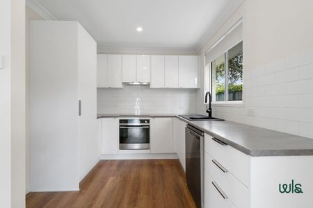 175 Teralba Road, Adamstown NSW 2289 - House For Rent | Domain - Photo 5