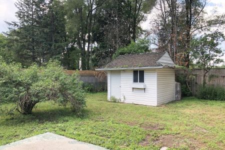 Detached Home For Lease | W9254638 - Photo 5