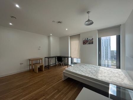 Studio Flat, Michigan Avenue, M50 - Photo 2