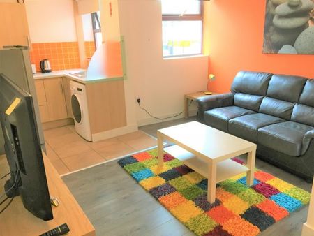 2B Porterbrook Apartments, Broomhall – BILLS INCLUDED! - Photo 2