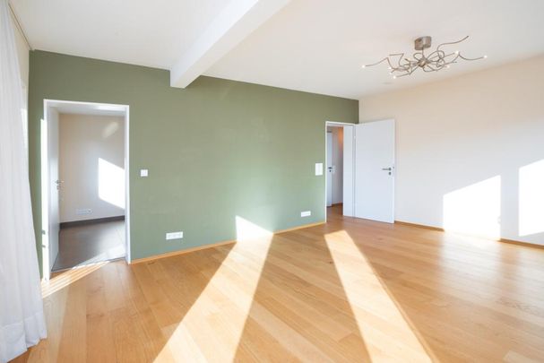 Freistehendes Einfamilienhaus mit großem Garten - Foto 1