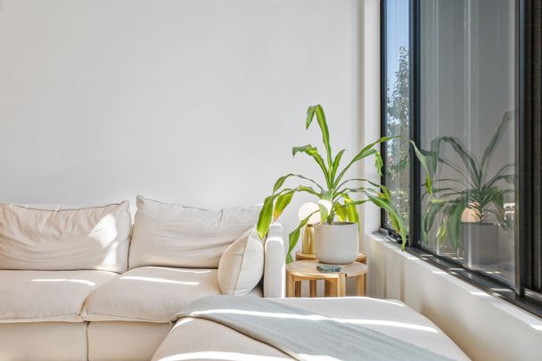 Value Packed Opportunity Moments from the Action! - Photo 1