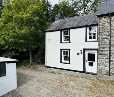 Llanddewi Brefi, Tregaron, SY25 - Photo 2