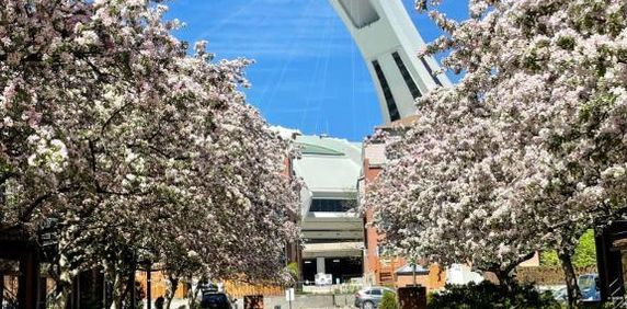 *** Tout meublé - Stationnement int. (optionel au besoin). - pas d'animaux - disponible à partir du 15 octobre 2025 *** - Photo 2