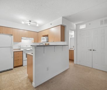 For Lease - 1491 Maple Avenue Unit# 206, Milton, Ontario - Photo 6