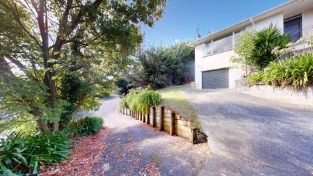 Durie Hill - 3 Bedrooms - Photo 3