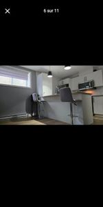 Logement 3 1/2 a louer deux montagne - Photo 3