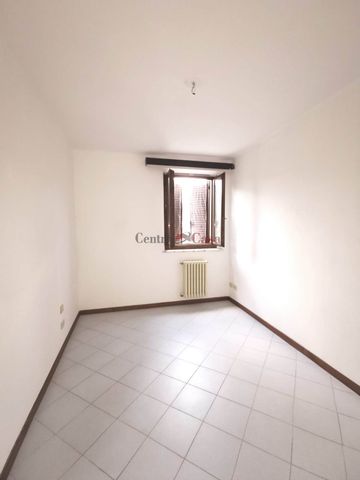 Grazioso tricolare in contesto di corte. - Photo 3