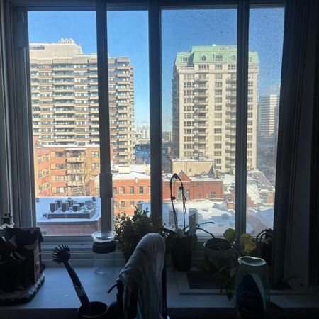 Cession bail – Très grand 3½ SEMI-MEUBLÉ ultra lumineux – Drummond – Métro McGill/Peel – Chauffage/Eau chaude – Animaux OK - Photo 3