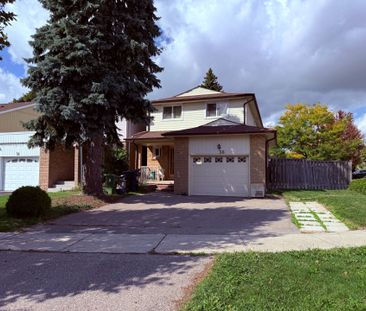 For Lease - 36 Montezuma Trail Unit# (Basement), Toronto, Ontario - Photo 4