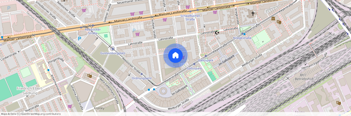 Kleyerstraße 80b, 60326, Frankfurt Am Main